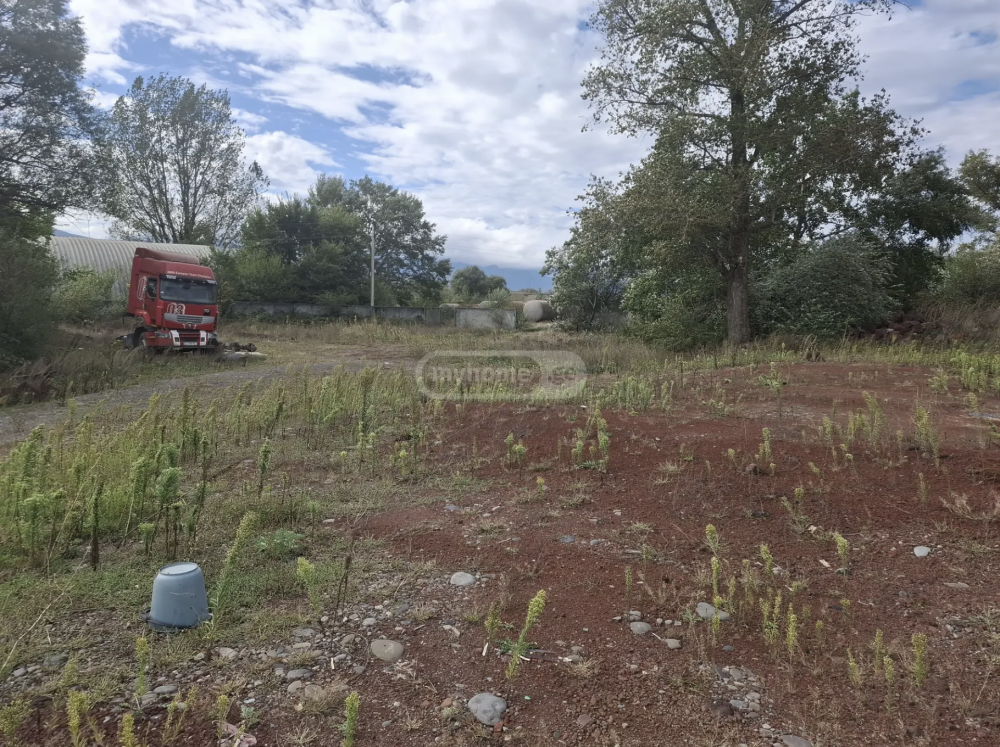 იყიდება არა სასოფლო-სამეურნეო მიწის ნაკვეთი ხაშურის მუნიციპალიტეტში